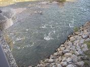 2010-10-26-002-River-L-Aude