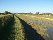 2010-10-26-005-River-Overflow-Channel