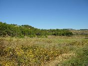 2010-10-26-007-At-Last-A-Hill