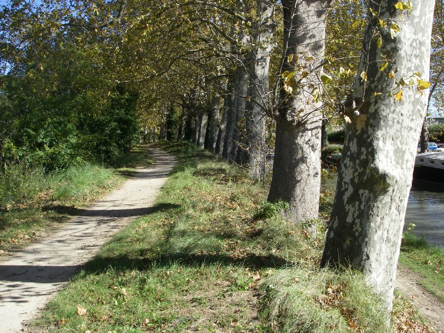 2010-10-26-011-Canal-Du-Midi