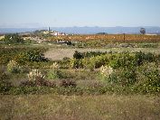 2010-10-26-012-Canal-Du-Midi-View-From