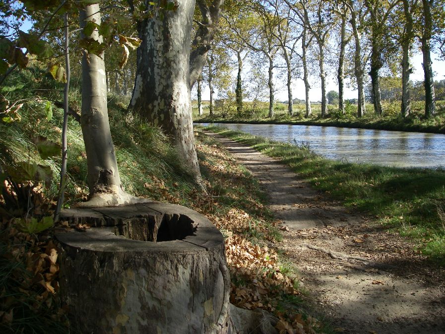 2010-10-26-014-Canal-Du-Midi