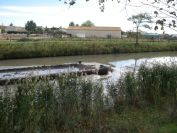 2010-10-27-026-Canal-Du-Midi-Dredging