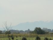 2010-10-27-031-Pyrenees