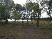 2010-10-27-032-Wetlands