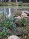 2010-10-27-047-Canal-Du-Midi-Leak