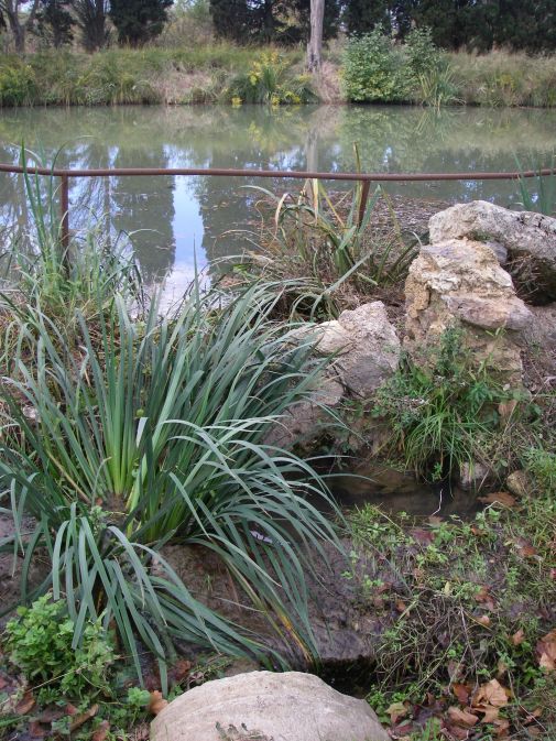 2010-10-27-047-Canal-Du-Midi-Leak