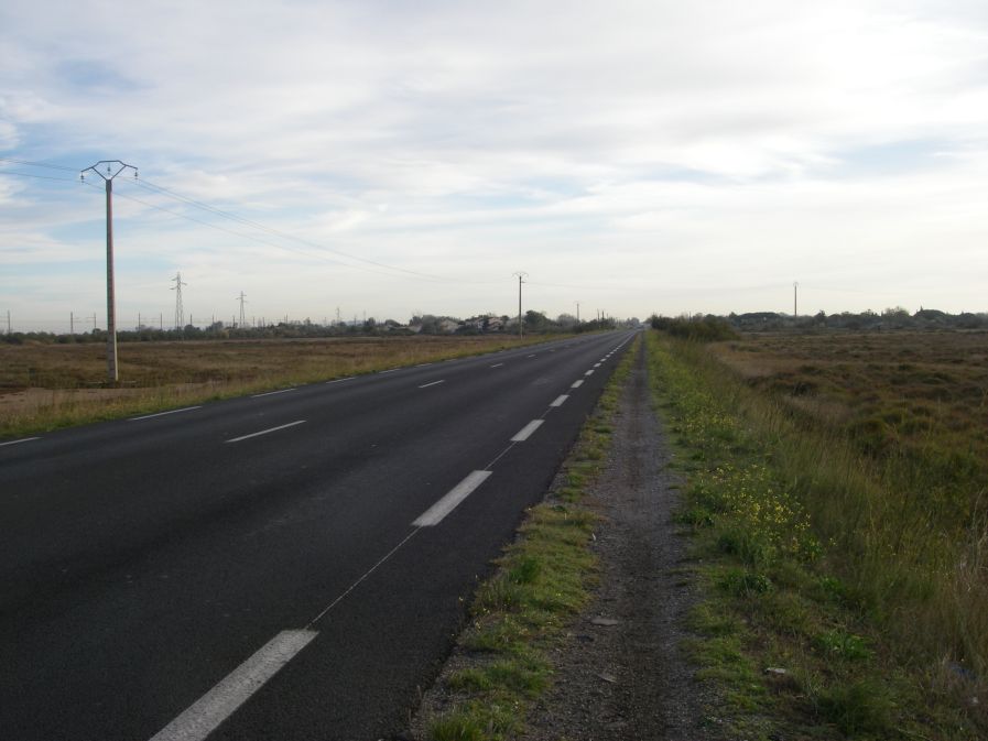 2010-10-28-003-Main-Road-Was-Busy