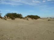 2010-10-28-007-Marseillan-Plage