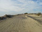 2010-10-28-010-Marseillan-Plage