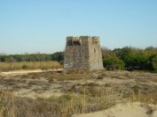 2010-10-28-011-Tour