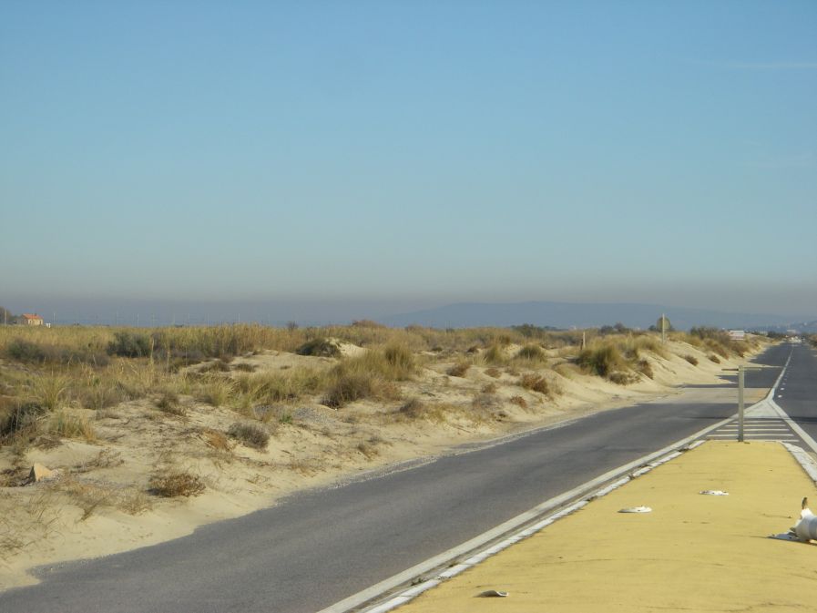 2010-10-28-014-Coast-Road-Closed