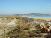 2010-10-28-016-Dunes-Restoration