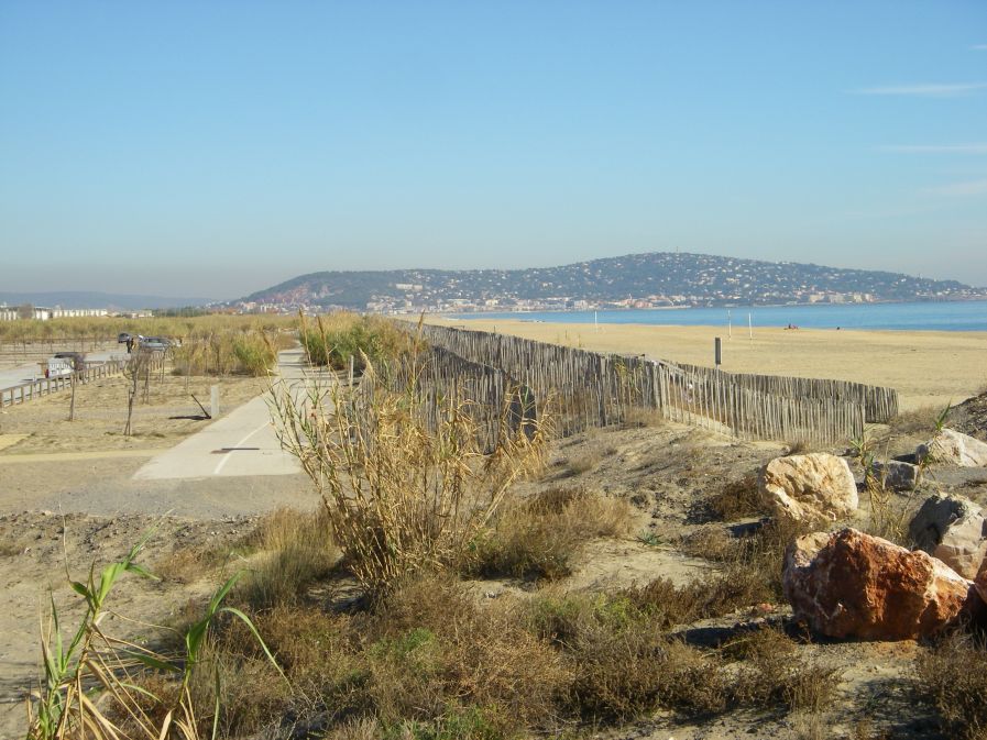 2010-10-28-016-Dunes-Restoration