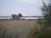 2010-10-29-004-Canal-du-Rhone-a-Sete