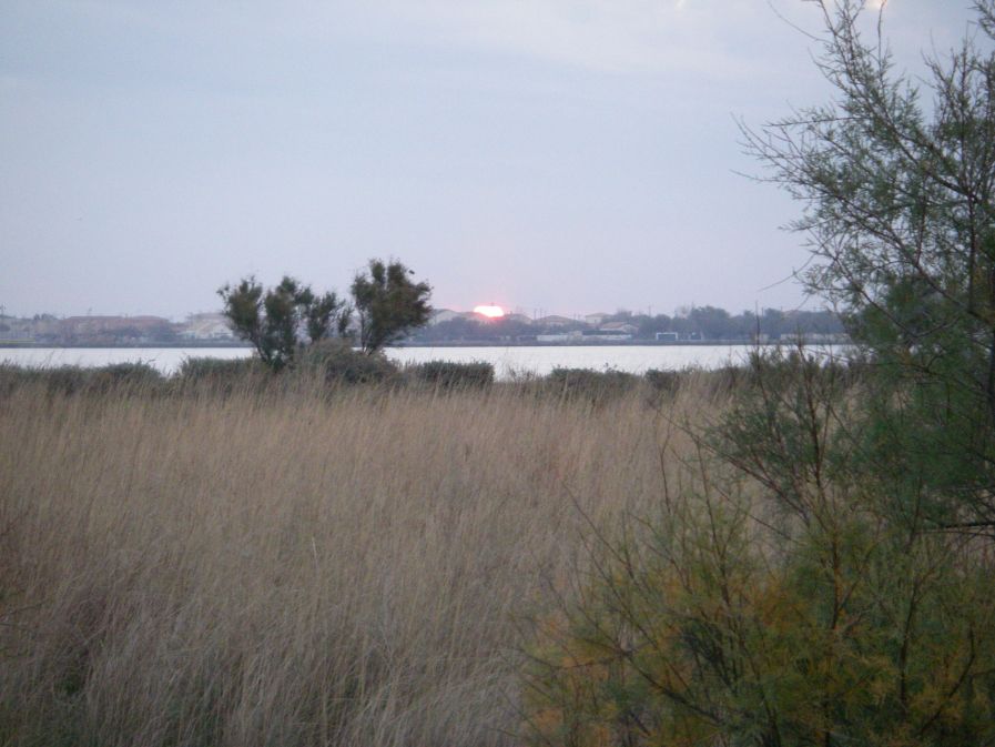2010-10-29-004-Canal-du-Rhone-a-Sete