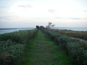 2010-10-29-007-Canal-du-Rhone-a-Sete