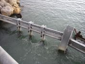 2010-10-29-034-Canal-du-Rhone-a-Sete