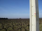 2011-02-23-002-Trail-to-Santiago-de-la-Compostela