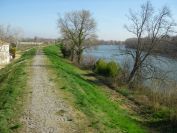 2011-02-23-011-Petit-Rhone-Bridge