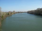 2011-02-23-014-Petit-Rhone-Bridge