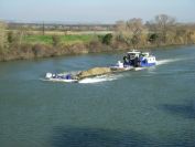 2011-02-23-016-Petit-Rhone-Bridge