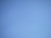 2011-02-23-023-Stork-Yes-Really-No-Baby