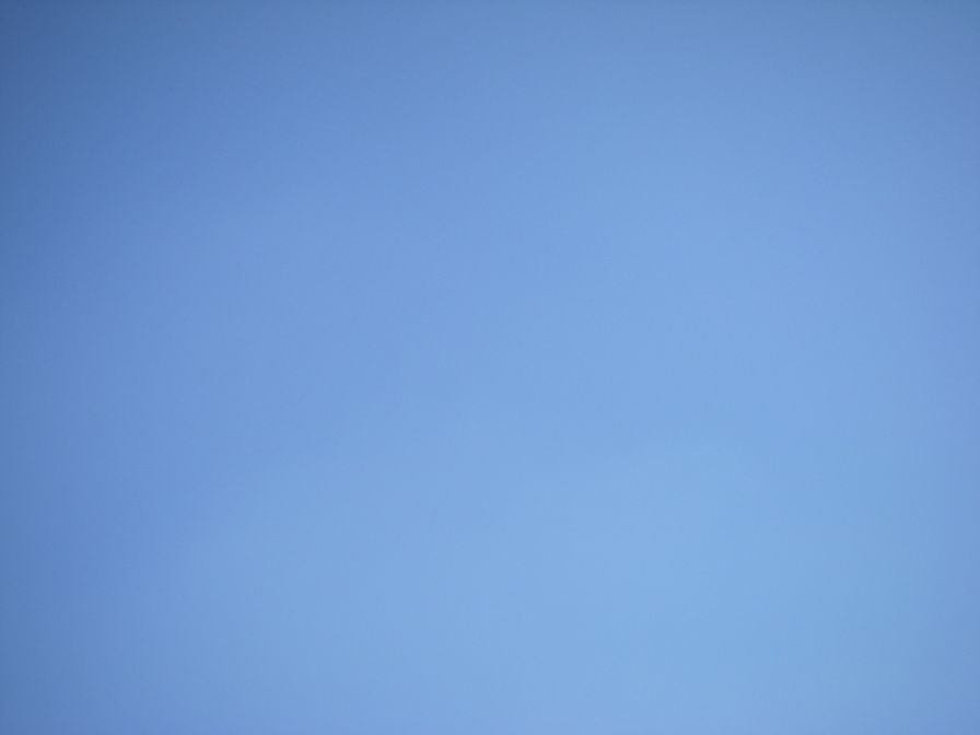 2011-02-23-023-Stork-Yes-Really-No-Baby