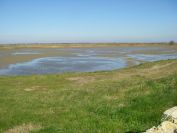 2011-02-23-026-Camargue