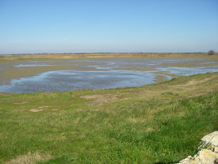 2011-02-23-026-Camargue