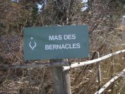 2011-02-23-027-Camargue