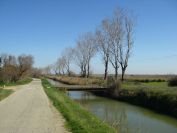2011-02-23-028-Camargue
