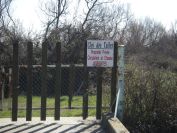 2011-02-23-029-Camargue