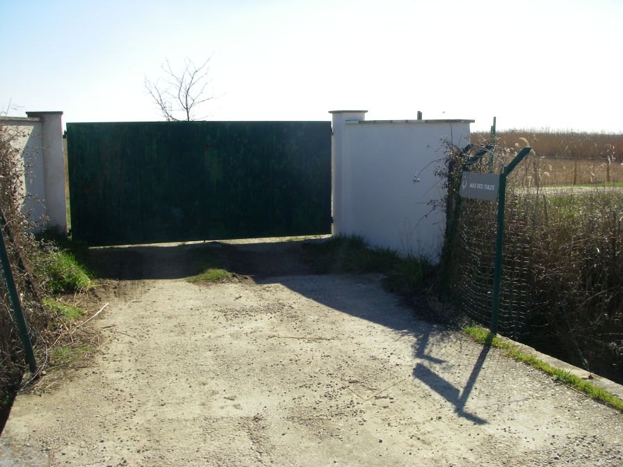 2011-02-23-032-Camargue