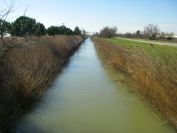 2011-02-23-033-Camargue