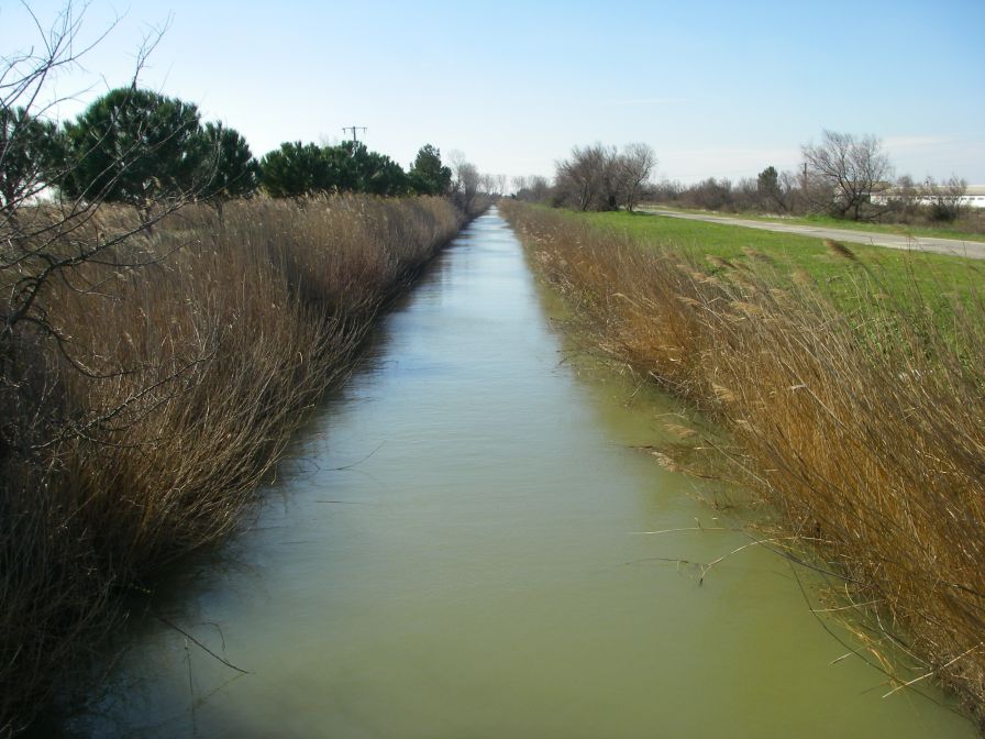 2011-02-23-033-Camargue
