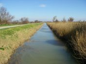 2011-02-23-034-Camargue