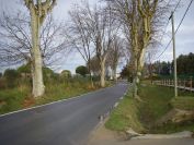 2011-02-22-003-Manicured-Village
