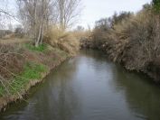2011-02-22-010-Le-Vistre