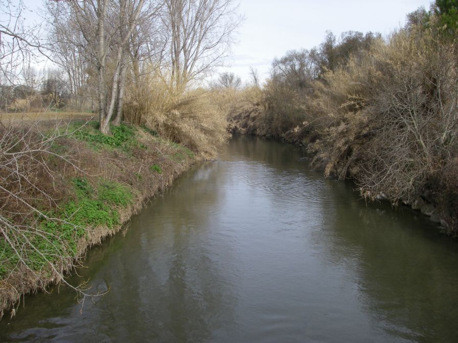 2011-02-22-010-Le-Vistre