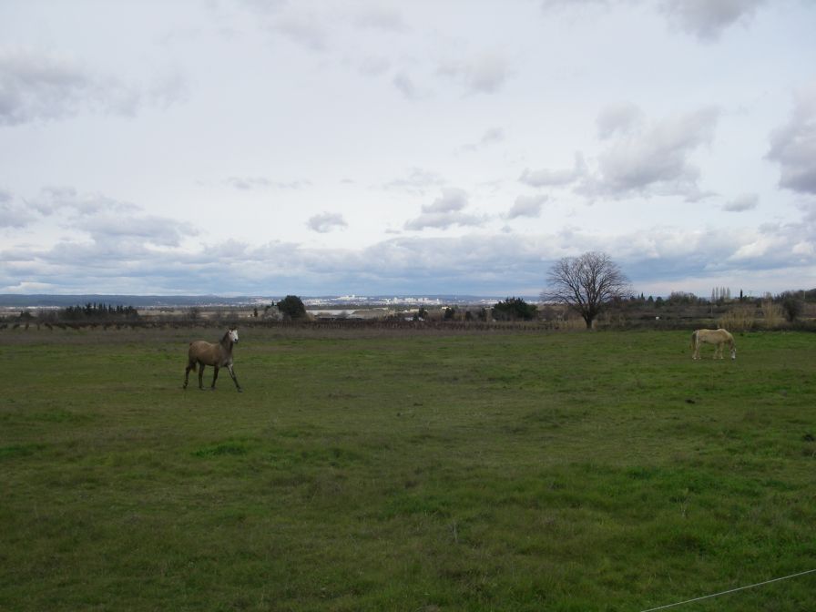 2011-02-22-015-Nimes-in-the-distance