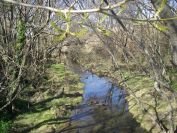 2011-02-21-008-Canal-Philippe-Lamour