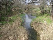 2011-02-21-012-Canal-Philippe-Lamour