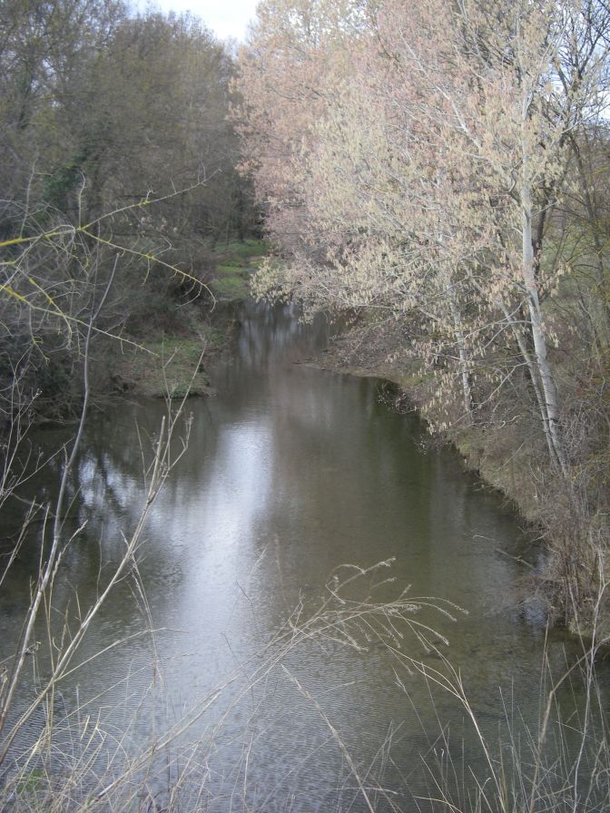 2011-02-21-024-Canal-Philippe-Lamour