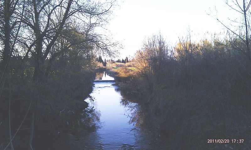 2011-02-20-005-River-near-Nimes