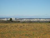 2011-02-27-005-Nimes