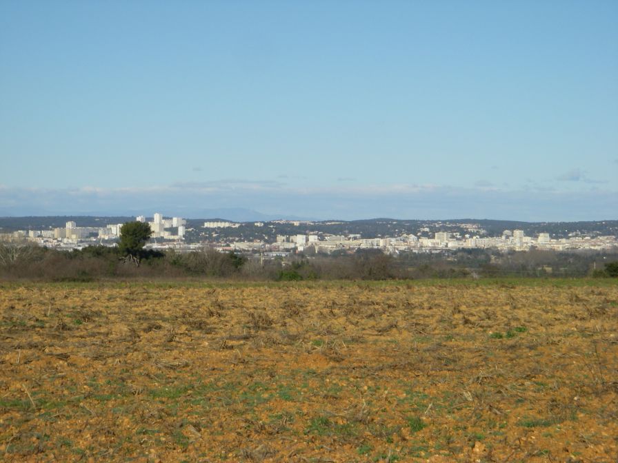 2011-02-27-005-Nimes