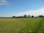 2011-02-24-004-Flat-Terrain
