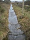 2011-02-25-007-One-of-Many-Streams
