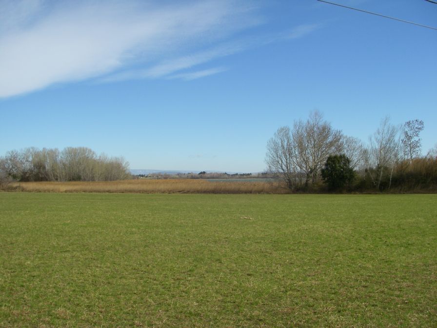 2011-02-25-009-Etang-D-Entressen